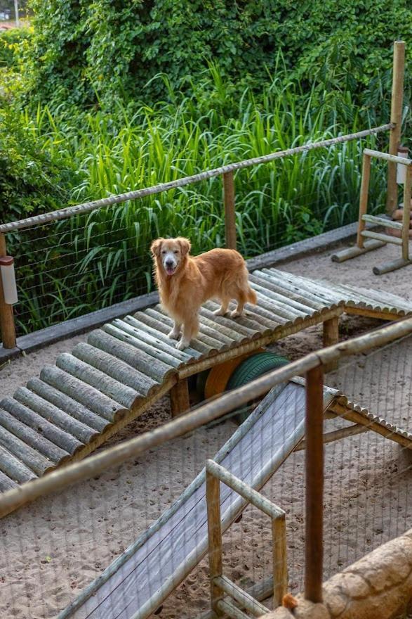 Baia Do Joao Eco Pousada Armacao dos Buzios Dış mekan fotoğraf